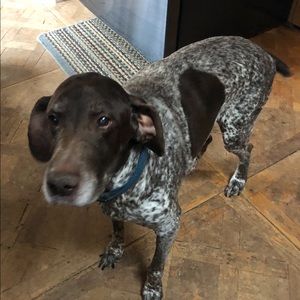 Meet your Posher, Diane